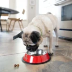 Nulo MedalSeries Small Breed Chicken & Sweet Potato Recipe Dry Dog Food, photo 4