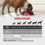 Nulo MedalSeries Limited Ingredient Diet Salmon Recipe Dry Dog Food, photo 7