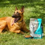 Nulo MedalSeries Limited Ingredient Diet Salmon Recipe Dry Dog Food, photo 4