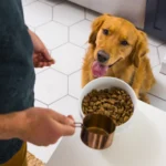 Nulo MedalSeries Large Breed Turkey & Peas Recipe Dry Dog Food, photo 4