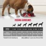 Nulo MedalSeries Lamb & Lentils Recipe Dry Dog Food, photo 4