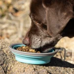 Nulo Raw Medley Chicken, Oats & Turkey Recipe Dry Dog Food, photo 5