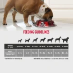 Nulo Raw Medley Chicken, Oats & Turkey Recipe Dry Dog Food, photo 8