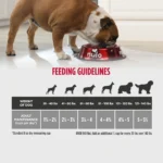 Nulo Raw Medley Large Breed Beef & Sweet Potato Recipe Dry Dog Food, photo 8