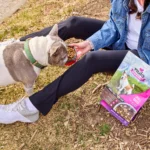 Nulo Raw Medley Small Breed Turkey, Sweet Potato & Duck Recipe Dry Dog Food, photo 5