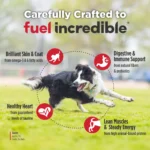Nulo FreeStyle Lamb & Chickpeas Recipe Dry Dog Food, photo 6