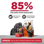 Nulo FreeStyle Turkey & Sweet Potato Recipe Dry Dog Food, photo 4