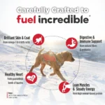 Nulo FreeStyle Large Breed Puppy Salmon & Turkey Recipe Dry Dog Food, photo 4