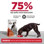 Nulo FreeStyle Large Breed Puppy Salmon & Turkey Recipe Dry Dog Food, photo 3