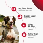 Nulo Frontrunner Ancient Grains Beef, Barley & Lamb Recipe Dry Dog Food, photo 4