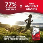 Nulo Frontrunner Ancient Grains Beef, Barley & Lamb Recipe Dry Dog Food, photo 3