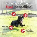 Nulo FreeStyle Small Breed Beef & Sweet Potato Recipe Dry Dog Food, photo 3