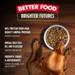 Nulo Culinary Harvest Chicken & Whitefish Recipe Dry Dog Food, photo 5