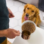 Nulo MedalSeries Baked & Coated Chicken, Duck & Turkey Recipe Dry Dog Food, photo 4