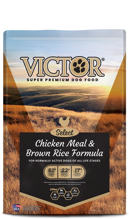 Victor Select Chicken Meal & Brown Rice Formula Dry Dog Food