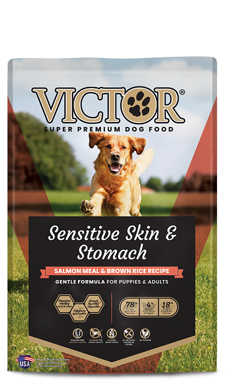 Victor Purpose Sensitive Skin & Stomach Salmon Meal & Brown Rice Recipe Dry Dog Food