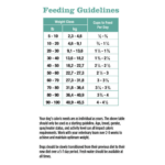 Rayne Nutrition Growth Sensitive GI Growth/Sensitive-GI Dry Dog Food, photo 3