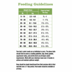 Rayne Nutrition Plant Based Plant-Based Dry Dog Food, photo 4