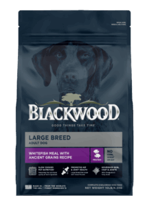 Blackwood Large Breed Adult Dog White Fish With Ancient Grains Recipe Dry Dog Food
