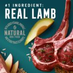 Abound Adult Lamb & Brown Rice with Avocado Dry Dog Food, photo 2