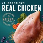 Abound All Life Stages Chicken & Brown Rice Dry Dog Food, photo 2
