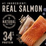 Abound Wild Beginnings All Life Stages Salmon, Whitefish & Trout Dry Dog Food, photo 2
