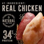 Abound Wild Beginnings All Life Stages Chicken, Turkey & Duck Dry Dog Food, photo 2