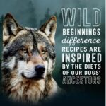 Abound Wild Beginnings All Life Stages Chicken, Turkey & Duck Dry Dog Food, photo 5