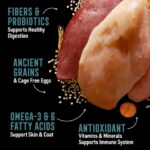 Abound Wild Beginnings All Life Stages Chicken, Turkey & Duck Dry Dog Food, photo 4