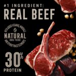 Abound Wild Beginnings Adult Beef, Venison & Lamb Dry Dog Food, photo 2