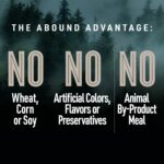 Abound Wild Beginnings Adult Beef, Venison & Lamb Dry Dog Food, photo 3