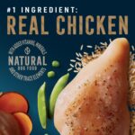 Abound Pro Vet Formulated Puppy Chicken & Brown Rice Dry Dog Food, photo 2