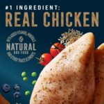Abound Pro Vet Formulated Adult Large Breed Chicken & Brown Rice Dry Dog Food, photo 2