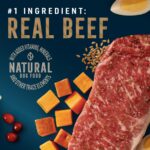 Abound Pro Vet Formulated Adult Small Breed Beef & Sweet Potato Dry Dog Food, photo 2