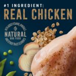 Abound Pro Vet Formulated Healthy Weight Adult Chicken & Oatmeal Dry Dog Food, photo 2