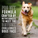 Abound Pro Vet Formulated Senior Salmon & Pea Dry Dog Food, photo 5