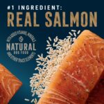 Abound Pro Vet Formulated Skin & Coat Adult Salmon & Brown Rice Dry Dog Food, photo 2