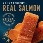 Abound Pro Vet Formulated Senior Salmon & Pea Dry Dog Food, photo 2