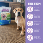 Health Extension Original Little Bites Chicken & Brown Rice Recipe Dry Dog Food, photo 7