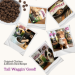 Health Extension Original Chicken & Brown Rice Recipe Dry Dog Food, photo 8