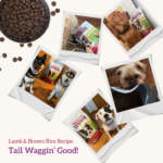 Health Extension Original Lamb & Brown Rice Recipe Dry Dog Food, photo 8