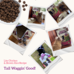 Health Extension Lite Chicken & Brown Rice Recipe Dry Dog Food, photo 8