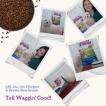 Health Extension Little Bites Lite Chicken & Brown Rice Recipe Dry Dog Food, photo 8