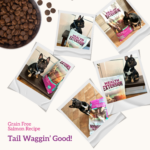 Health Extension Grain Free Salmon & Sweet Potato Recipe Dry Dog Food, photo 9
