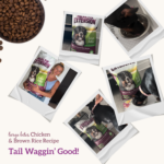 Health Extension Original Large Bites Chicken & Brown Rice Dry Dog Food, photo 10