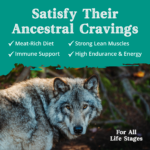 Health Extension Ancestry Lamb Meal With Rice Dry Dog Food, photo 4