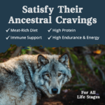 Health Extension Ancestry Tidal Energy With Salmon Meal Dry Dog Food, photo 3