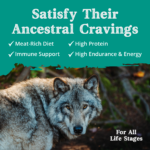 Health Extension Ancestry Homeland With Lamb Meal Dry Dog Food, photo 6