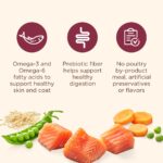 Rachael Ray Nutrish Real Salmon, Veggies & Brown Rice Dry Dog Food, photo 6