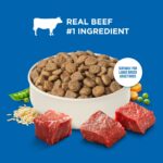 Rachael Ray Nutrish Large Breed Real Beef, Pea, Carrot & Brown Rice Recipe Dry Dog Food, photo 5